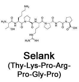 selanka selanka